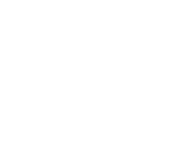 MS Technical Services